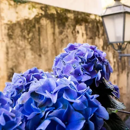 Peonia Blu Appartamento
